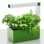 Jardinire Hydroponique - Herbie Vert - Tregren